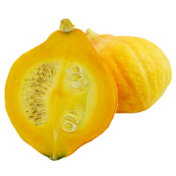 コリンキー|わっさんの食いしん坊野菜