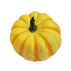 プッチーニ|わっさんの食いしん坊野菜