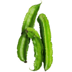 四角豆|わっさんの食いしん坊野菜