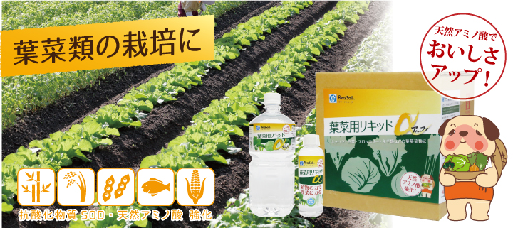 葉菜用リキッドアルファ