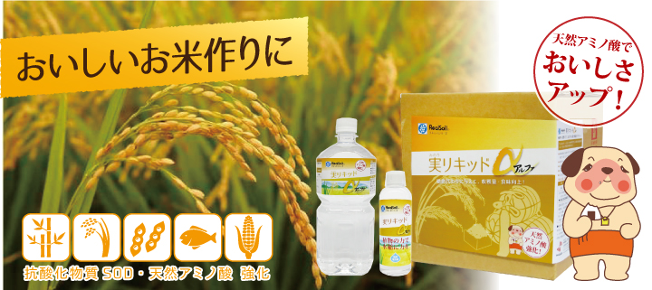 実リキッドアルファ