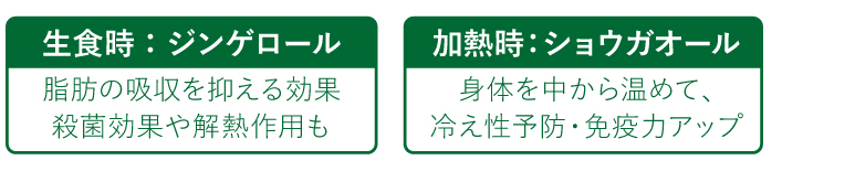 栄養生姜