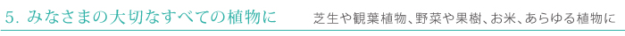 リアルソイルリキッドの特徴