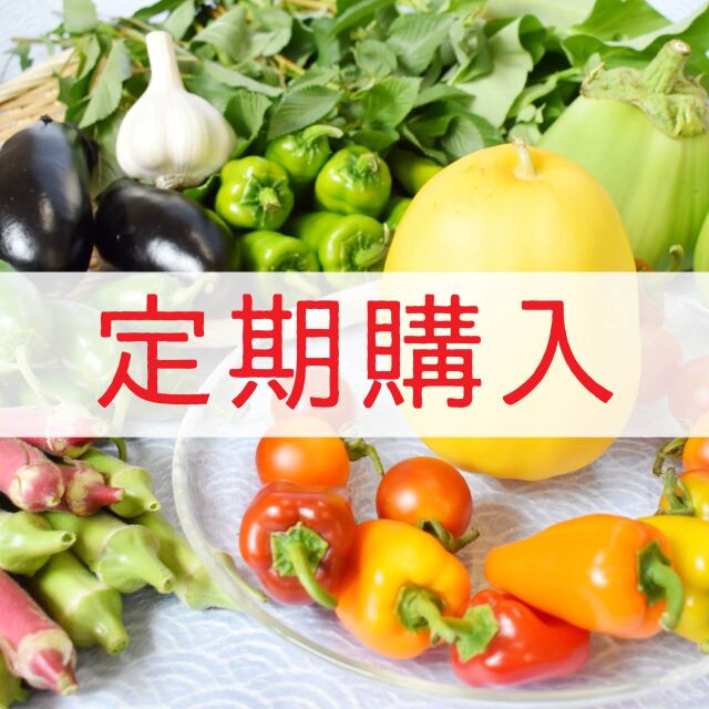 旬の野菜便　夏　トップ　定期購入