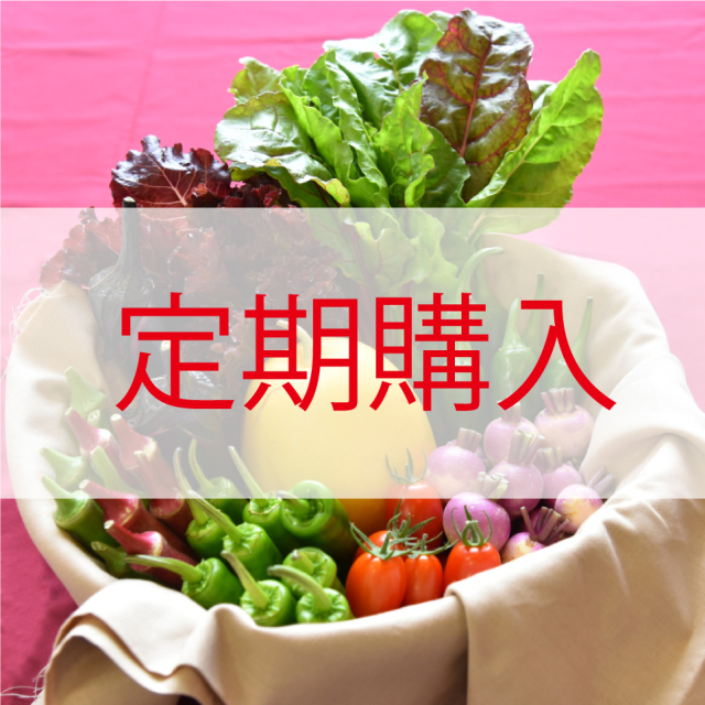 定期野菜便夏